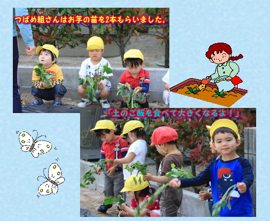 芋２